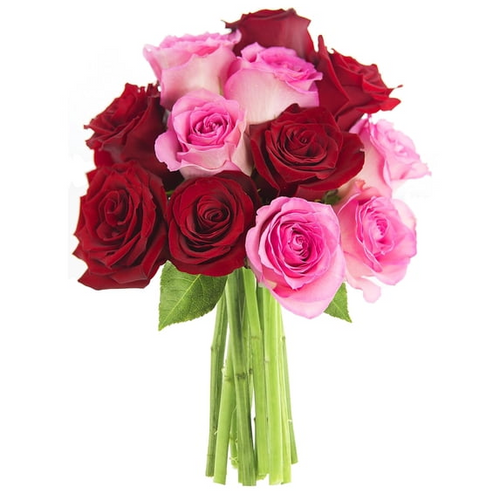 Fresh-Cut Dozen Roses, 12 Stems Assorted Rainbow Colors, Colors Vary