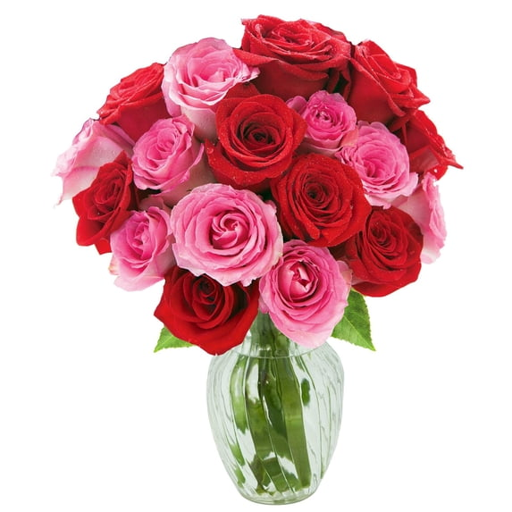 Fresh-Cut Dozen Roses, 12 Stems Assorted Rainbow Colors, Colors Vary